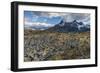 Dead Trees in Front of Cuernos Del Paine, Torres Del Paine National Park, Chilean Patagonia, Chile-G & M Therin-Weise-Framed Photographic Print