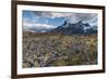 Dead Trees in Front of Cuernos Del Paine, Torres Del Paine National Park, Chilean Patagonia, Chile-G & M Therin-Weise-Framed Photographic Print