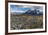 Dead Trees in Front of Cuernos Del Paine, Torres Del Paine National Park, Chilean Patagonia, Chile-G & M Therin-Weise-Framed Photographic Print