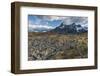 Dead Trees in Front of Cuernos Del Paine, Torres Del Paine National Park, Chilean Patagonia, Chile-G & M Therin-Weise-Framed Photographic Print