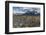 Dead Trees in Front of Cuernos Del Paine, Torres Del Paine National Park, Chilean Patagonia, Chile-G & M Therin-Weise-Framed Photographic Print