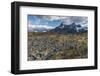 Dead Trees in Front of Cuernos Del Paine, Torres Del Paine National Park, Chilean Patagonia, Chile-G & M Therin-Weise-Framed Photographic Print