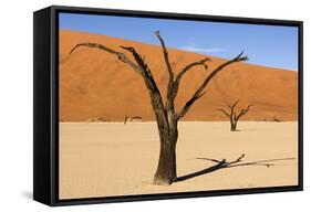Dead Trees in Namibia-rtwi-Framed Stretched Canvas