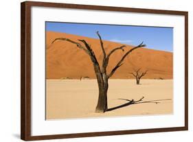 Dead Trees in Namibia-rtwi-Framed Photographic Print