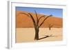Dead Trees in Namibia-rtwi-Framed Photographic Print