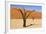 Dead Trees in Namibia-rtwi-Framed Photographic Print