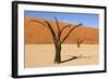 Dead Trees in Namibia-rtwi-Framed Photographic Print