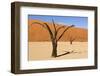 Dead Trees in Namibia-rtwi-Framed Photographic Print