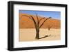 Dead Trees in Namibia-rtwi-Framed Photographic Print