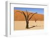 Dead Trees in Namibia-rtwi-Framed Photographic Print