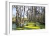 Dead Trees in the Swamps of the Magnolia Plantation Outside Charleston, South Carolina, U.S.A.-Michael Runkel-Framed Photographic Print