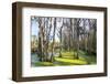 Dead Trees in the Swamps of the Magnolia Plantation Outside Charleston, South Carolina, U.S.A.-Michael Runkel-Framed Photographic Print