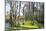 Dead Trees in the Swamps of the Magnolia Plantation Outside Charleston, South Carolina, U.S.A.-Michael Runkel-Mounted Photographic Print