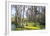 Dead Trees in the Swamps of the Magnolia Plantation Outside Charleston, South Carolina, U.S.A.-Michael Runkel-Framed Photographic Print