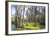 Dead Trees in the Swamps of the Magnolia Plantation Outside Charleston, South Carolina, U.S.A.-Michael Runkel-Framed Photographic Print