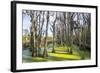 Dead Trees in the Swamps of the Magnolia Plantation Outside Charleston, South Carolina, U.S.A.-Michael Runkel-Framed Photographic Print