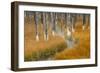 Dead trees killed from volcanic hot streams, Yellowstone National Park, Wyoming, USA-Maresa Pryor-Framed Photographic Print