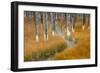 Dead trees killed from volcanic hot streams, Yellowstone National Park, Wyoming, USA-Maresa Pryor-Framed Photographic Print