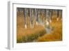 Dead trees killed from volcanic hot streams, Yellowstone National Park, Wyoming, USA-Maresa Pryor-Framed Photographic Print