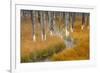 Dead trees killed from volcanic hot streams, Yellowstone National Park, Wyoming, USA-Maresa Pryor-Framed Premium Photographic Print