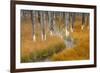 Dead trees killed from volcanic hot streams, Yellowstone National Park, Wyoming, USA-Maresa Pryor-Framed Premium Photographic Print