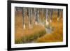 Dead trees killed from volcanic hot streams, Yellowstone National Park, Wyoming, USA-Maresa Pryor-Framed Premium Photographic Print