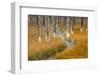 Dead trees killed from volcanic hot streams, Yellowstone National Park, Wyoming, USA-Maresa Pryor-Framed Photographic Print