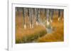 Dead trees killed from volcanic hot streams, Yellowstone National Park, Wyoming, USA-Maresa Pryor-Framed Photographic Print