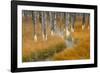 Dead trees killed from volcanic hot streams, Yellowstone National Park, Wyoming, USA-Maresa Pryor-Framed Photographic Print