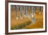 Dead trees killed from volcanic hot streams, Yellowstone National Park, Wyoming, USA-Maresa Pryor-Framed Photographic Print