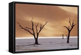 Dead Trees on Dry Lake Bed-Darrell Gulin-Framed Stretched Canvas