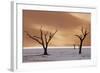 Dead Trees on Dry Lake Bed-Darrell Gulin-Framed Photographic Print