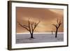 Dead Trees on Dry Lake Bed-Darrell Gulin-Framed Photographic Print