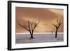 Dead Trees on Dry Lake Bed-Darrell Gulin-Framed Photographic Print