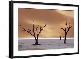 Dead Trees on Dry Lake Bed-Darrell Gulin-Framed Photographic Print