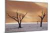 Dead Trees on Dry Lake Bed-Darrell Gulin-Mounted Photographic Print