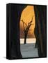 Dead Trees Silhouetted Against Sand Dune at Dead Vlei, Sossusvlei, Namibia, Africa-Wendy Kaveney-Framed Stretched Canvas