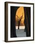 Dead Trees Silhouetted Against Sand Dune at Dead Vlei, Sossusvlei, Namibia, Africa-Wendy Kaveney-Framed Photographic Print