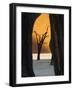 Dead Trees Silhouetted Against Sand Dune at Dead Vlei, Sossusvlei, Namibia, Africa-Wendy Kaveney-Framed Photographic Print