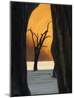 Dead Trees Silhouetted Against Sand Dune at Dead Vlei, Sossusvlei, Namibia, Africa-Wendy Kaveney-Mounted Photographic Print