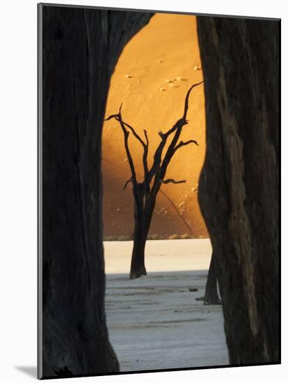 Dead Trees Silhouetted Against Sand Dune at Dead Vlei, Sossusvlei, Namibia, Africa-Wendy Kaveney-Mounted Photographic Print