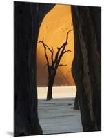 Dead Trees Silhouetted Against Sand Dune at Dead Vlei, Sossusvlei, Namibia, Africa-Wendy Kaveney-Mounted Photographic Print