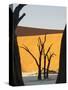 Dead Trees Silhouetted Against Sand Dune at Dead Vlei, Sossusvlei, Namibia, Africa-Wendy Kaveney-Stretched Canvas