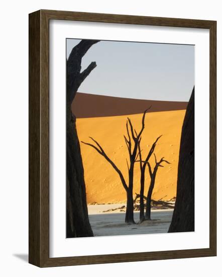 Dead Trees Silhouetted Against Sand Dune at Dead Vlei, Sossusvlei, Namibia, Africa-Wendy Kaveney-Framed Photographic Print