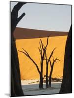 Dead Trees Silhouetted Against Sand Dune at Dead Vlei, Sossusvlei, Namibia, Africa-Wendy Kaveney-Mounted Photographic Print