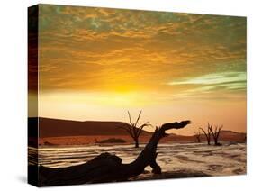 Dead Valley in Namibia at Dark-Andrushko Galyna-Stretched Canvas