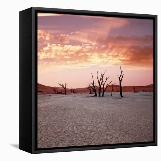 Dead Valley in Namibia at Dark-Andrushko Galyna-Framed Stretched Canvas