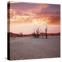 Dead Valley in Namibia at Dark-Andrushko Galyna-Stretched Canvas