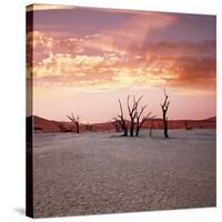 Dead Valley in Namibia at Dark-Andrushko Galyna-Stretched Canvas