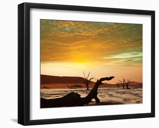 Dead Valley in Namibia at Dark-Andrushko Galyna-Framed Photographic Print